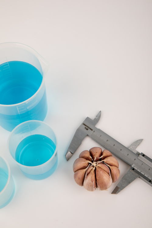 大蒜食品安全農(nóng)業(yè)科技食品培育攝影圖 插畫(huà) 下載至來(lái)源處